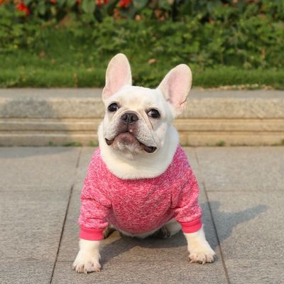 Удобный устойчивый домашний питомец собака кошка футболки одежда аксессуары тип свитера свитера