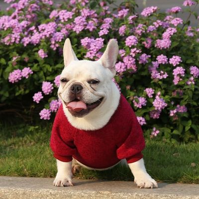 Удобный устойчивый домашний питомец собака кошка футболки одежда аксессуары тип свитера свитера