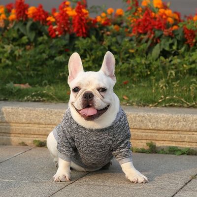 XS-XXL Различные цвета аксессуары Современная одежда для собак XS-XXL