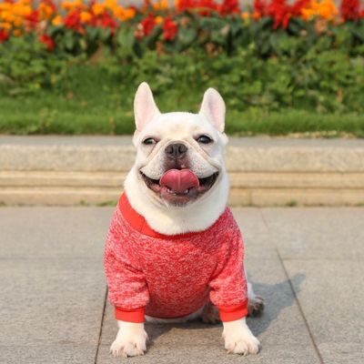 XS-XXL Одежда для щенков Зимняя тёплая одежда для домашних животных Полиэстер трикотажный собачий свитер для щенка